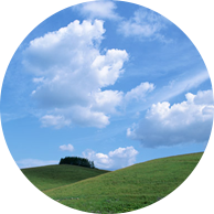 浜田真輔 プロフィール