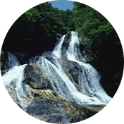 浜田真輔 プロフィール